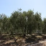 Villa La Del Sole