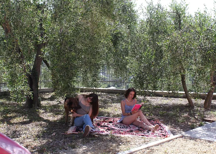 La Del Sole Costa d'Oneglia