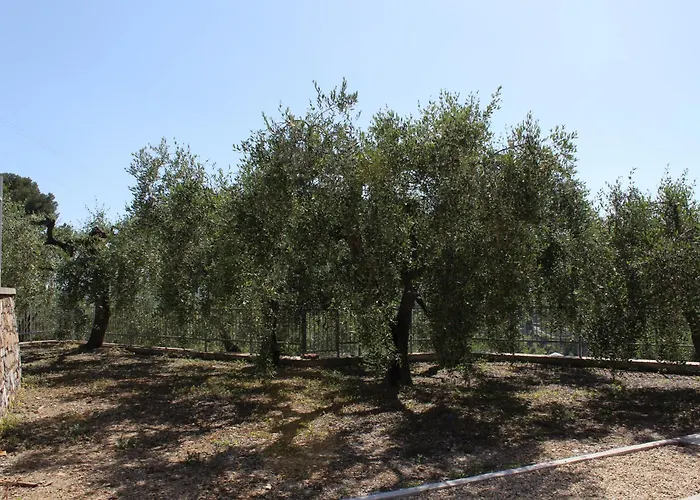 La Del Sole * Costa d'Oneglia