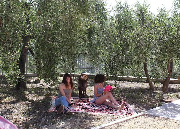 La Del Sole Costa d'Oneglia